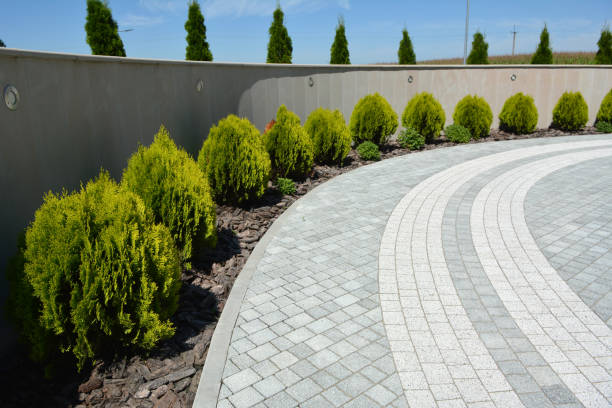 Best Driveway Paving Company  in Start, LA